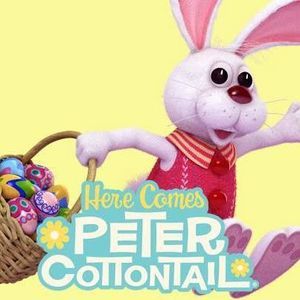 Meet your Posher, Cathyanne